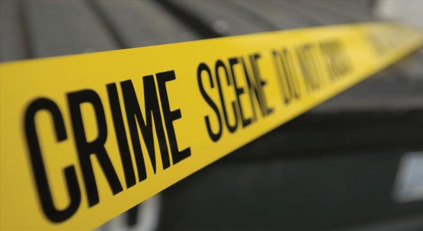 犯罪学论文主题